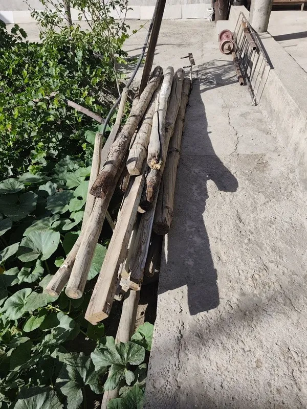 Qalam, bolor va chorniy potolok sotiladi — фото 1