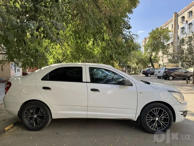 Cobalt 2018 kraska toza 4 Cobalt 2018 kraska toza 4