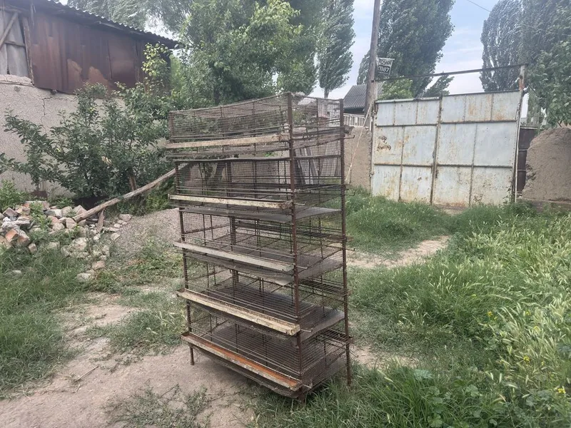 Bedana qafasi 5 qavatli. Olmos