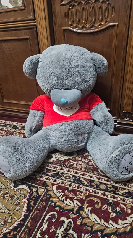 Teddy katta ayiq