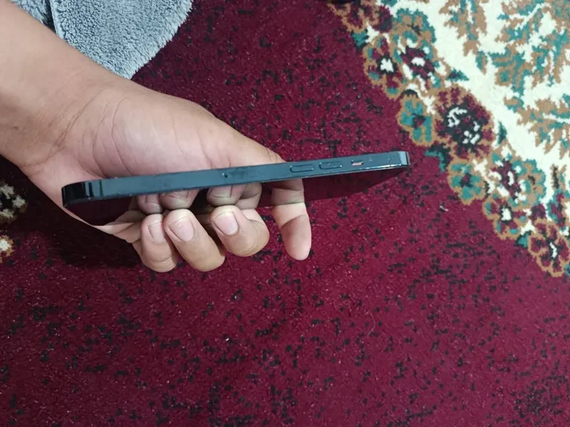 Iphone 12 Pro Max 4