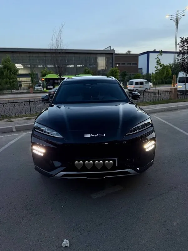 BYD chimpiyon xolati zor 2 BYD chimpiyon xolati zor 2