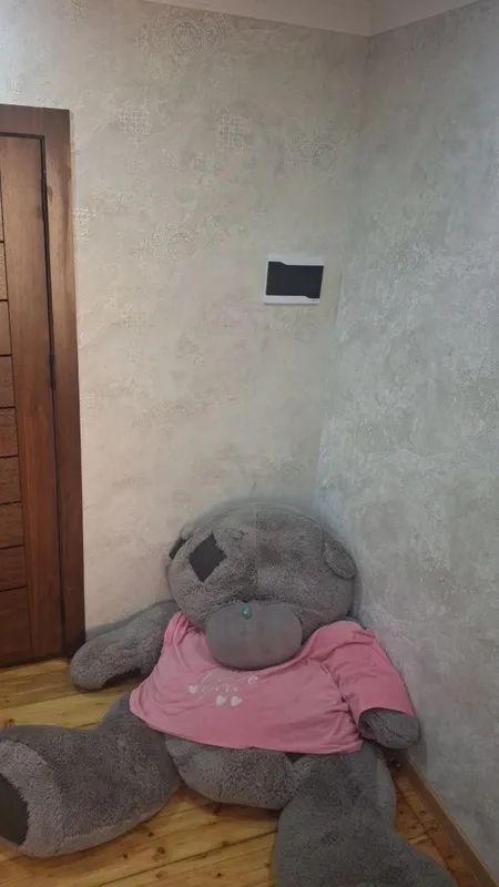 Tediy ayiqchasi narxini kelishamiza