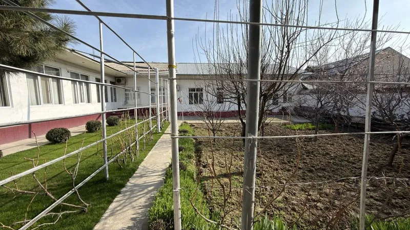 Охунбобоев Олмазор 6,8 сотки вдоль дороги — фото 4
