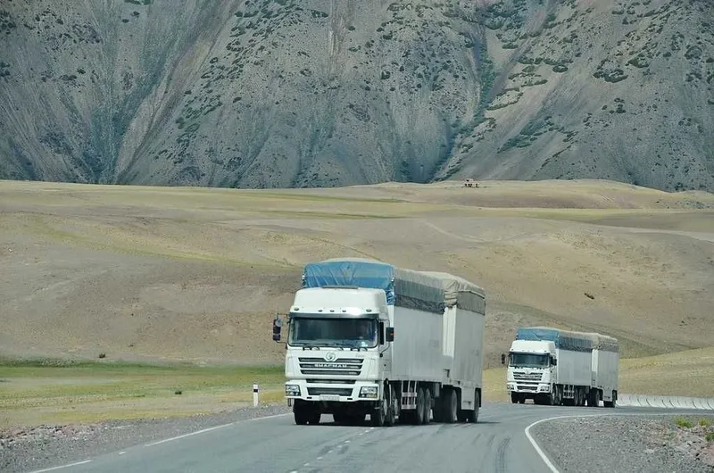 RHINO LOGISTICS — 10 йиллик тажриба ва ишончли етказиб бериш! — фото 1