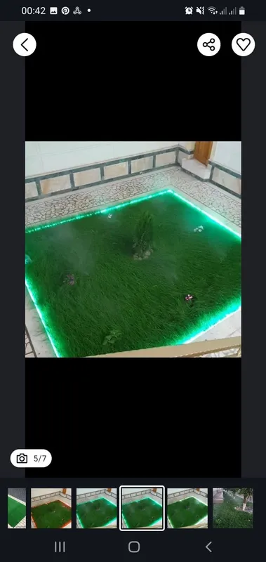 Ispaniya, Daniya gazon urug'lari ekib beriladi. — фото 2