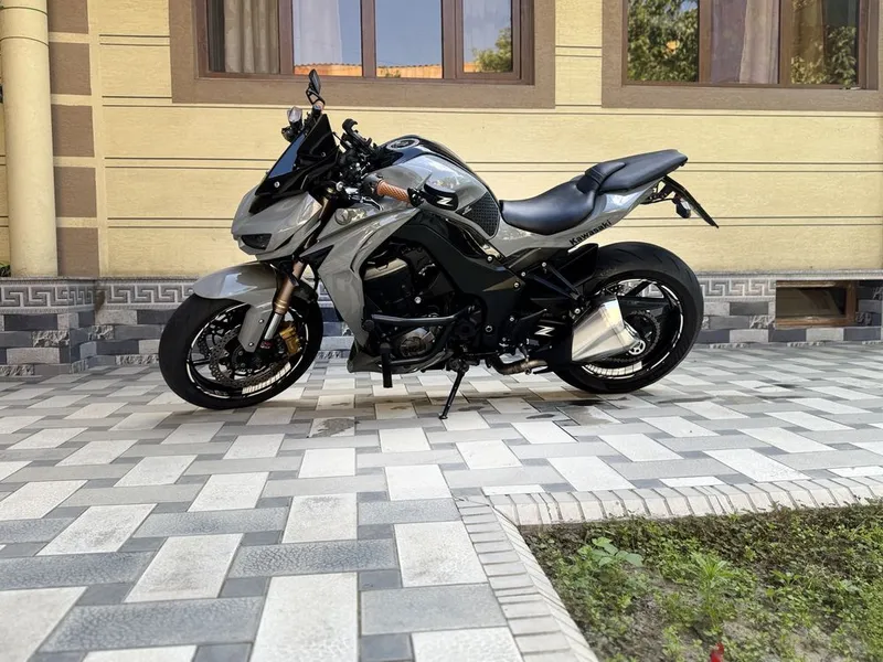 Kawasaki Z1000 Хишник — фото 1