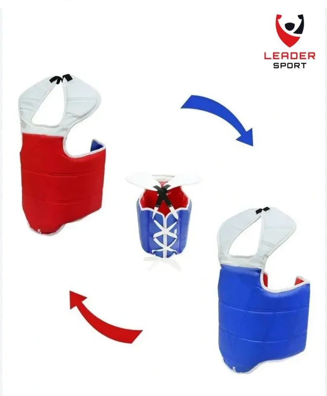 Taekwondo Protector