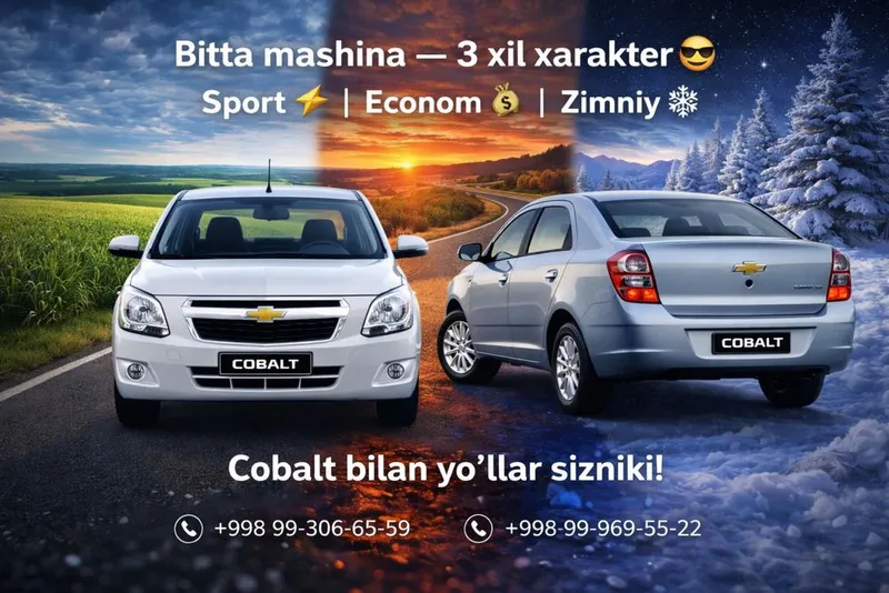 Sport+EConom+Zimniy Programa Cobolt