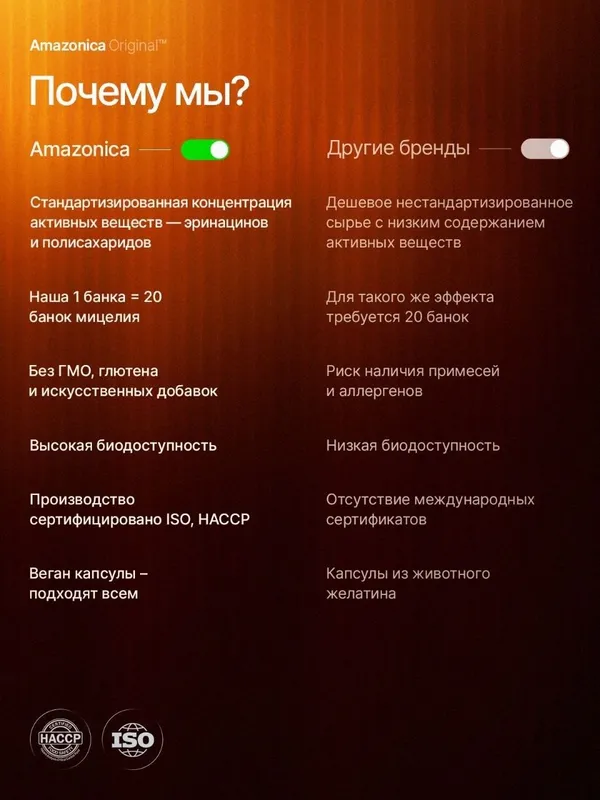 Ежовик гребенчатый — фото 4