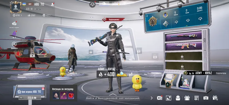 PUBG Acc