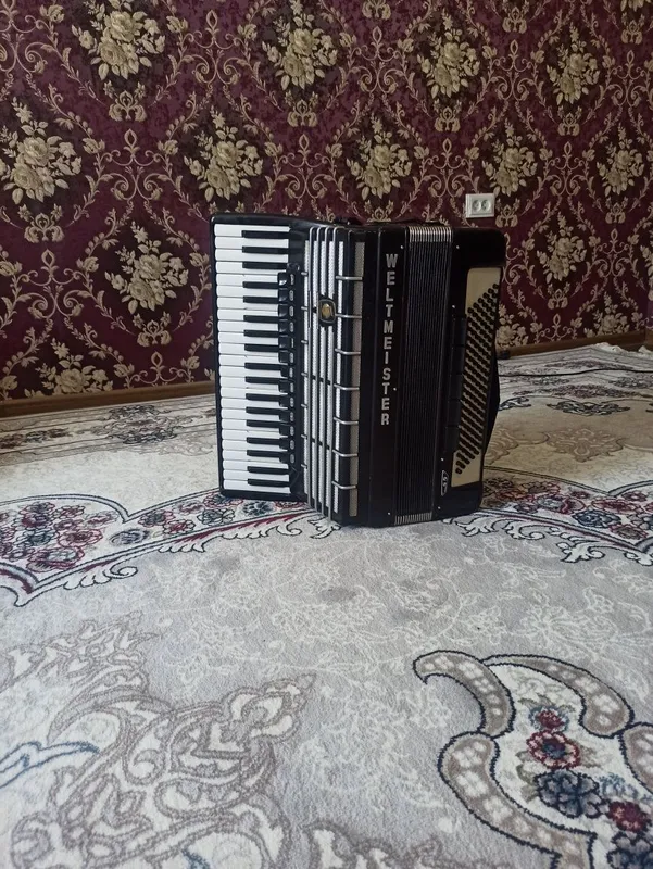 Akkardion s5 holati ideal