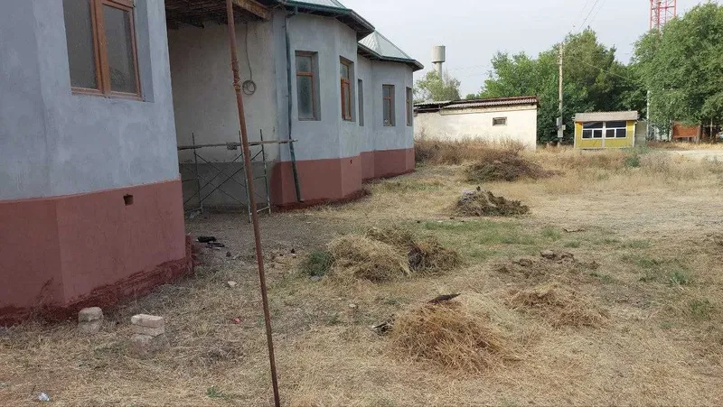 Boyovut tumani, Bekat MFY, Bog'dor 26. (razyezd boyovut) da 4 sotix uy 2 Boyovut tumani, Bekat MFY, Bog'dor 26. (razyezd boyovut) da 4 sotix uy 2