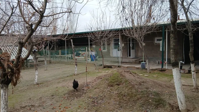 Урта сарой 8 сотих йер — фото 2