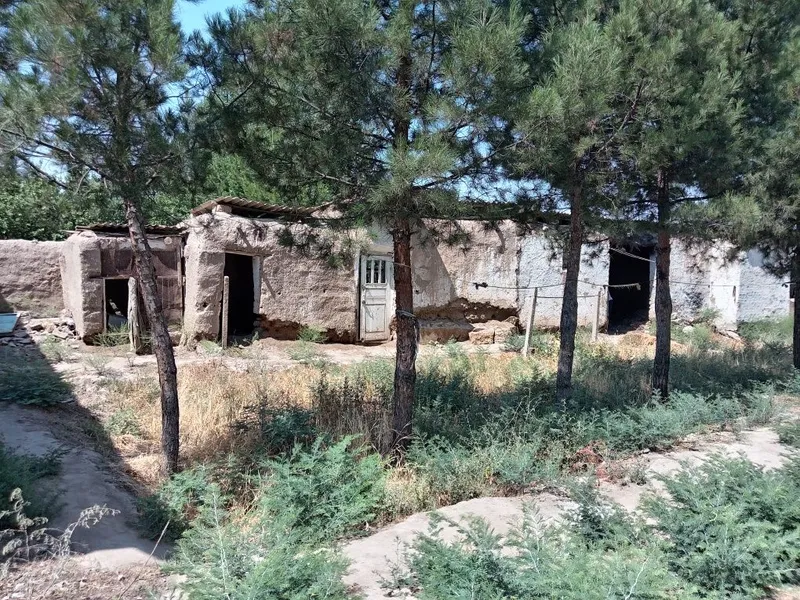 Yer sotiladi srochni bozor yaqin
