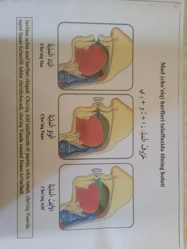 Onlayn va oflayn Arab tili kurslariga taklif qilamiz 6 Onlayn va oflayn Arab tili kurslariga taklif qilamiz 6