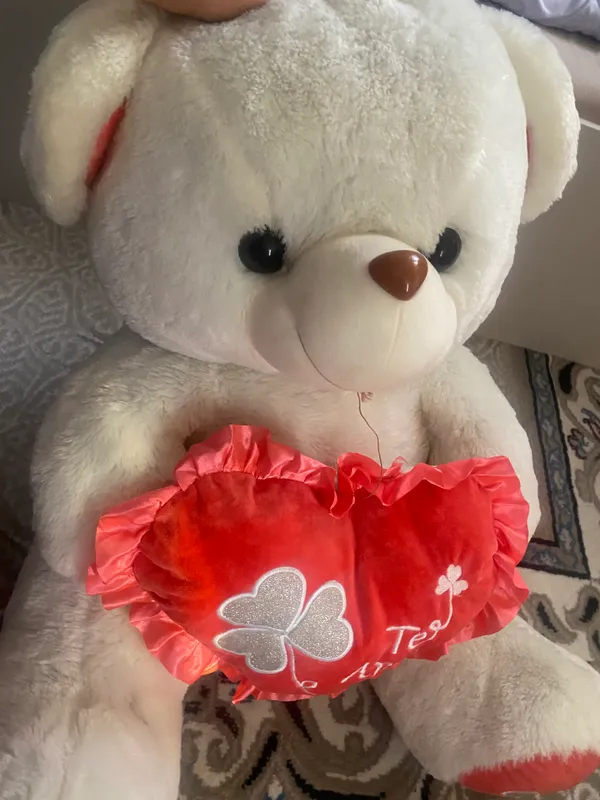 Teddy 1 Teddy 1