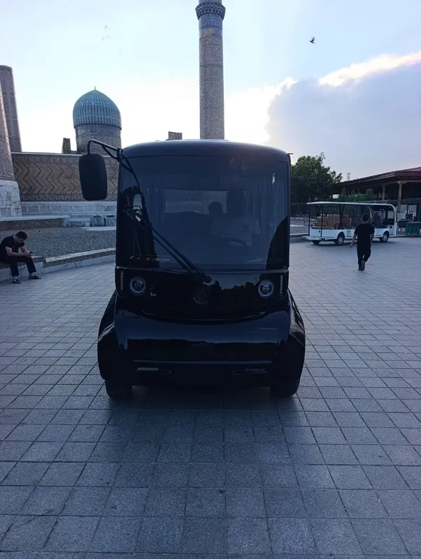 Elektiro golf kar 2