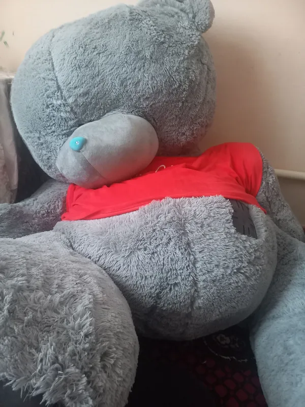 teddy