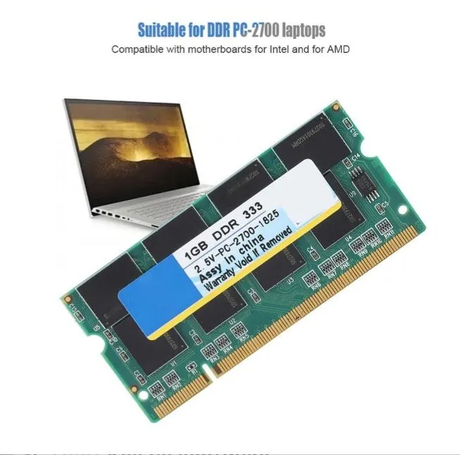DDR1 1 DDR1 1
