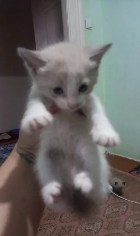 Hadiyaga beriladi 1 Hadiyaga beriladi 1
