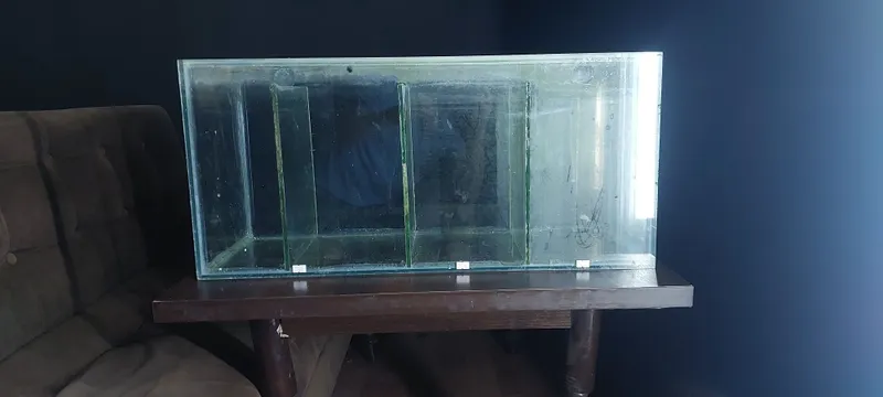 Vitrinali va oddiy akvarium 3 Vitrinali va oddiy akvarium 3