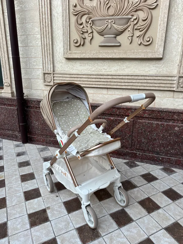 коляска canelli kolyaska