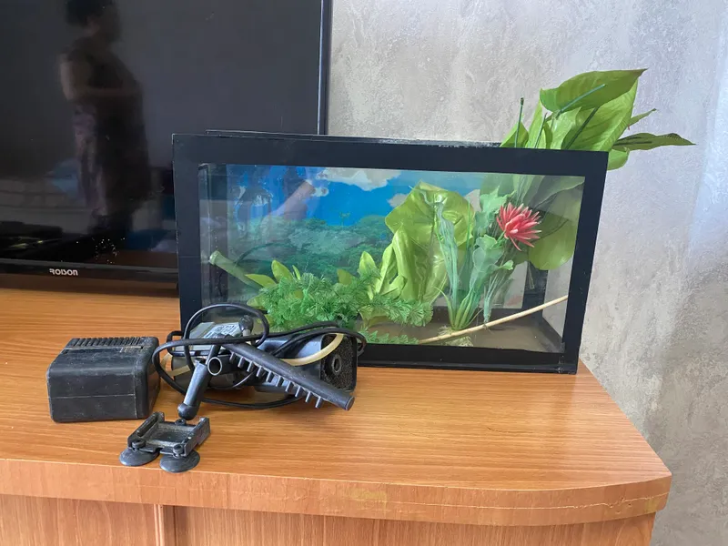 Akvarium 1 Akvarium 1