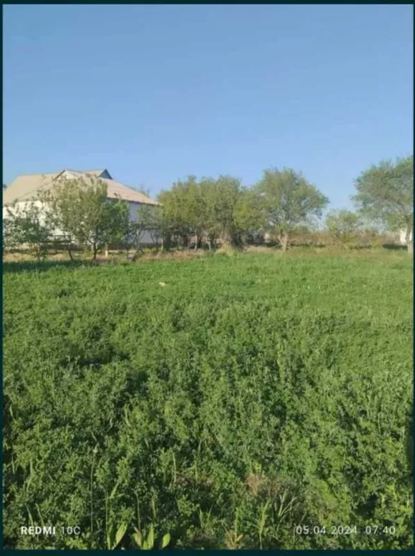 25 sotxlik (Bog' barpo etilgan) uy sotiladi. 1 25 sotxlik (Bog' barpo etilgan) uy sotiladi. 1