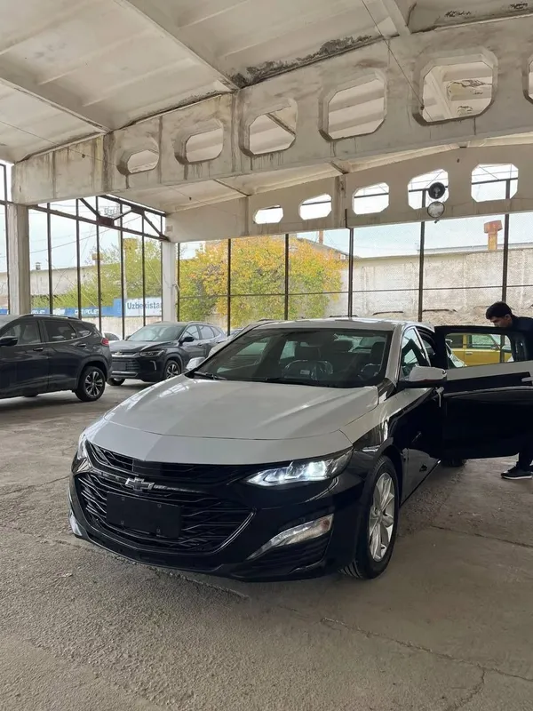 Malibu XL full pozitsa 2025/2026 masla