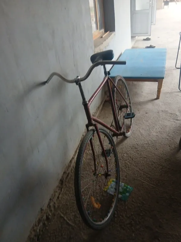 Velosiped rasiske narxini telda samarqand viloyati juma shaxrida qiqil