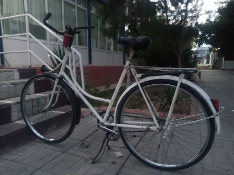 Velosiped 1