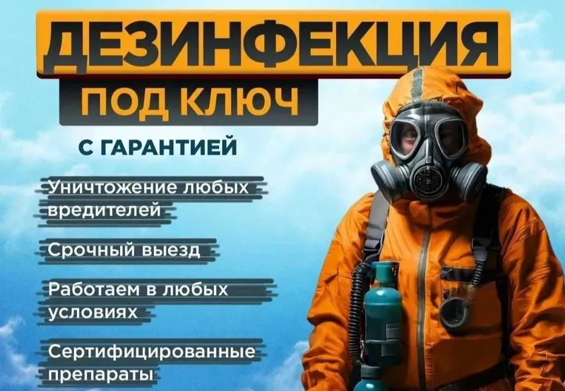 Dezinfeksiya klop klapa Дезинфекция от клопов клапа мышей таракан клоп