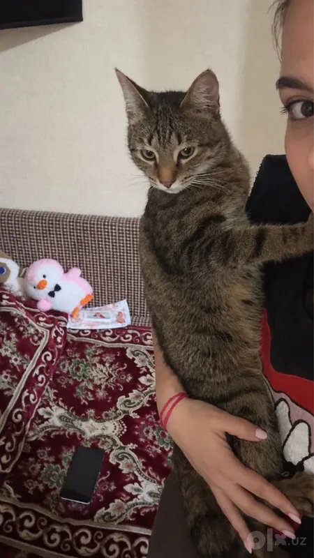 Отдам бесплатно…. 1 Отдам бесплатно…. 1