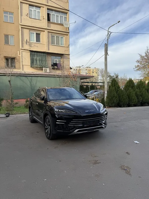 Byd chempion Dm-i — фото 1