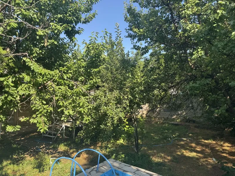 Dacha sotiladi ! 6 sotih Yer hisobida ! 7 Dacha sotiladi ! 6 sotih Yer hisobida ! 7