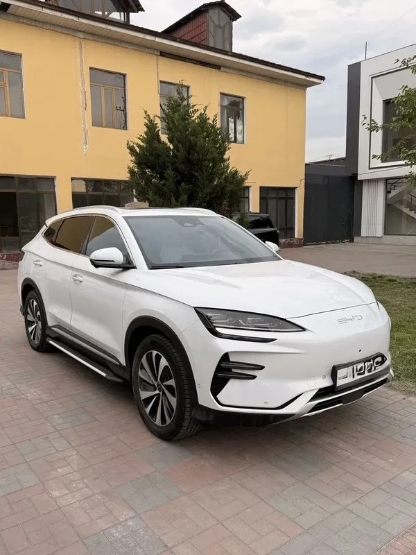Byd chempion 605 full elektr krasska tozza ideal moshina