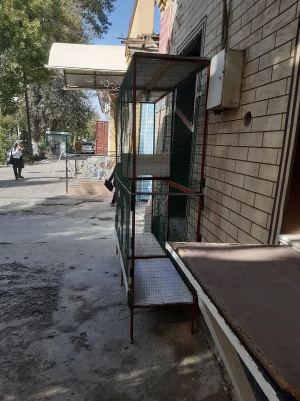 кледка для попугаев