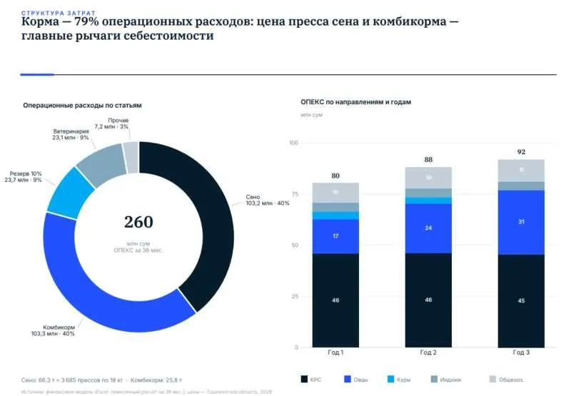 Бизнес-план, ТЭО, финансовая модель для банка и инвестора 4 Бизнес-план, ТЭО, финансовая модель для банка и инвестора 4