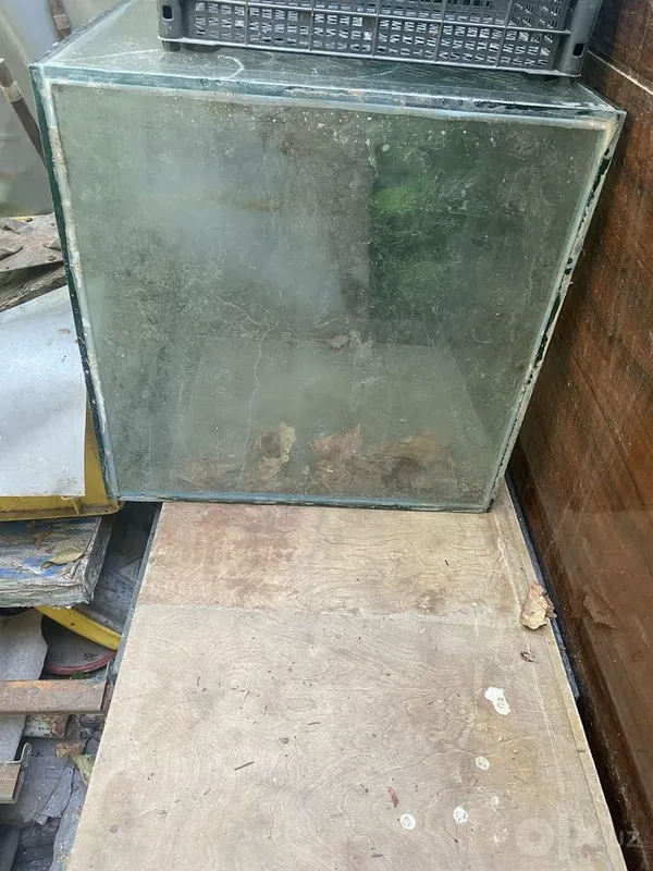 Ikkita akvarium sotiladi Ikkita akvarium sotiladi