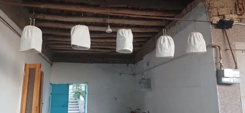 Saytogfagi bedanala sotiladi