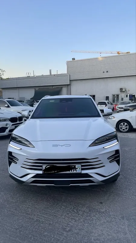 Byd chempion 1 Byd chempion 1