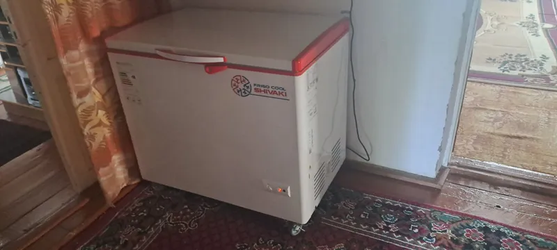 Shivaki muzlatg'ish satiladi.