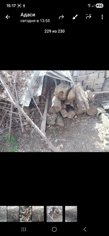 курук утинлар сотилади. майда ва йириклари бор . .