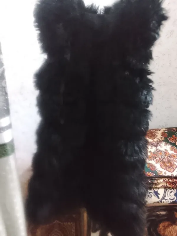 Parizoda