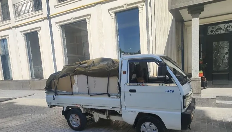 Услуга вывоза мусора Услуга вывоза мусора