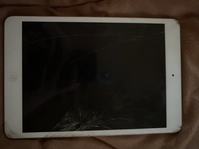 Ipad mini 2 1 Ipad mini 2 1
