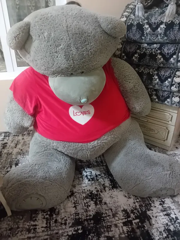 teddy