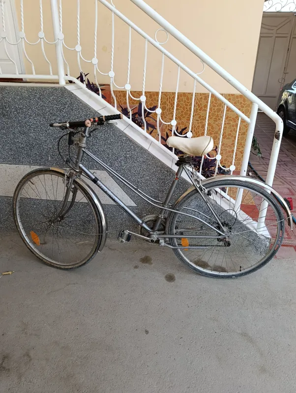 Germanskiy gonishnik velo sotiladi