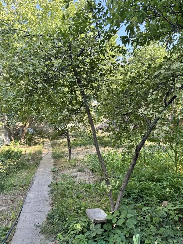 Паркентский 12сотих 2та махалага караган 8
